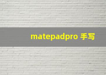 matepadpro 手写